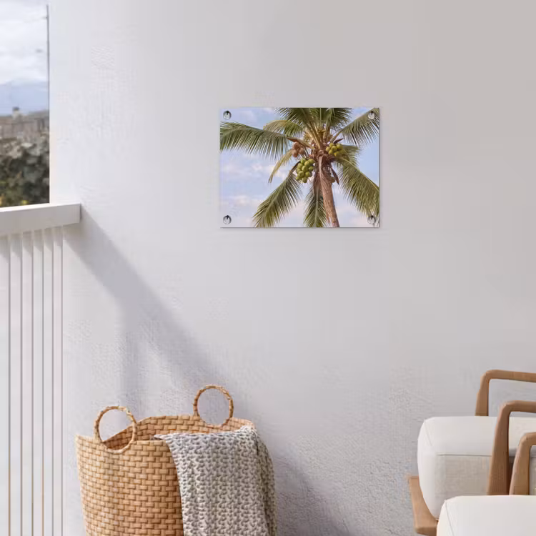 Kokosnoot - Boom - Tropisch - Natuur - Groen tuinposter los doek klein -sfeer8