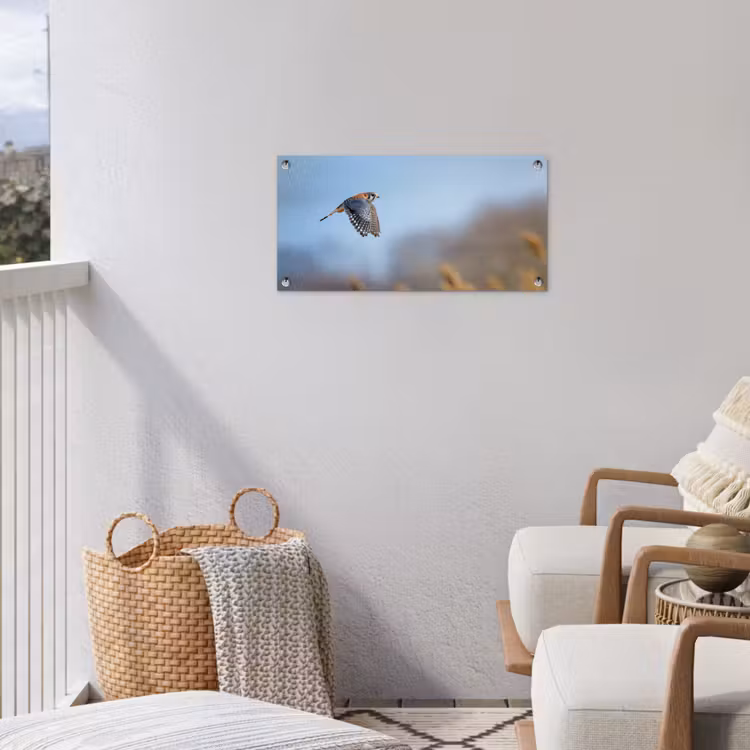 Kleurrijke valk aan het vliegen tuinposter los doek klein -sfeer8