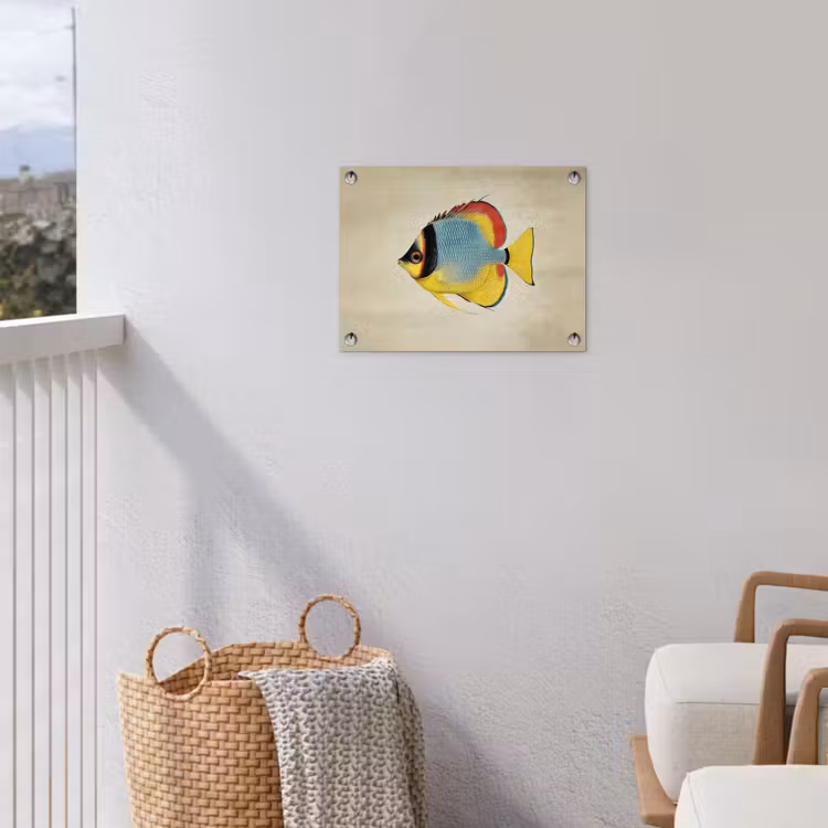Kleurrijk - Vis - Schubben - Illustratie tuinposter los doek klein -sfeer8