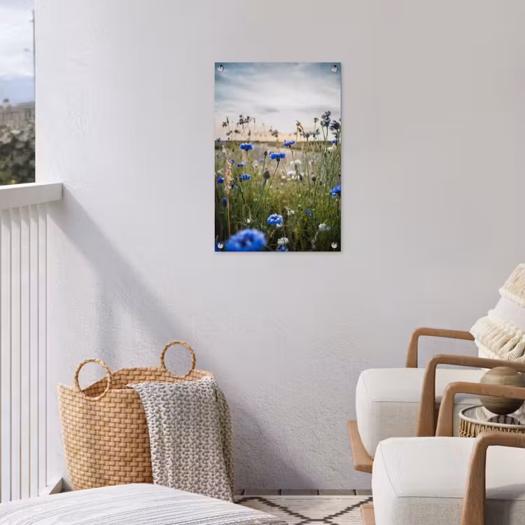 Korenbloemen bij zonsondergang tuinposter los doek klein -sfeer8