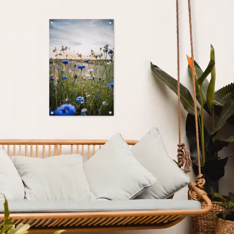 Korenbloemen bij zonsondergang tuinposter los doek klein -sfeer7