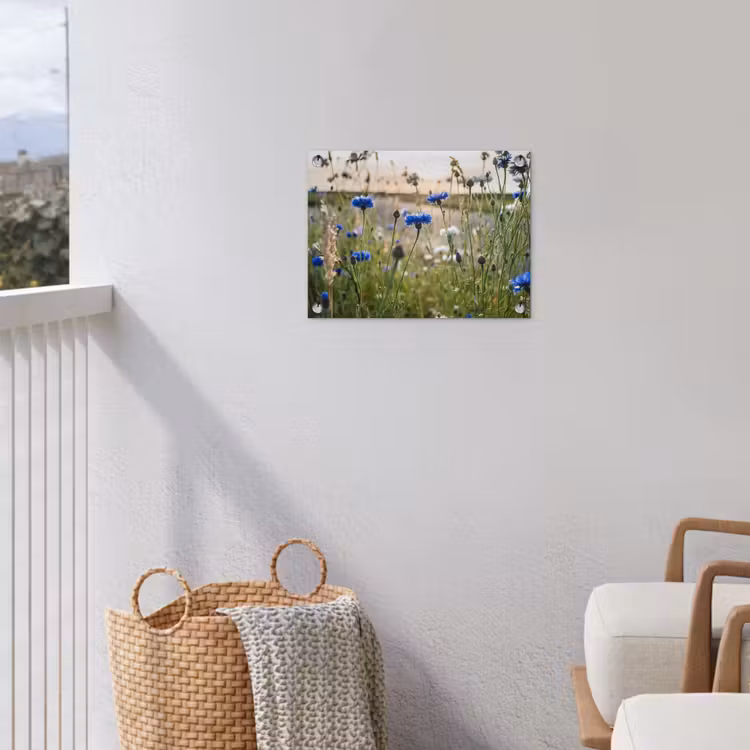 Korenbloemen in het avondlicht tuinposter los doek klein -sfeer8