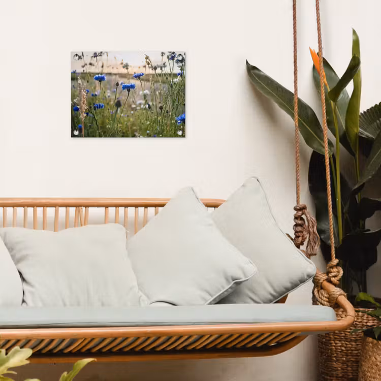 Korenbloemen in het avondlicht tuinposter los doek klein -sfeer7