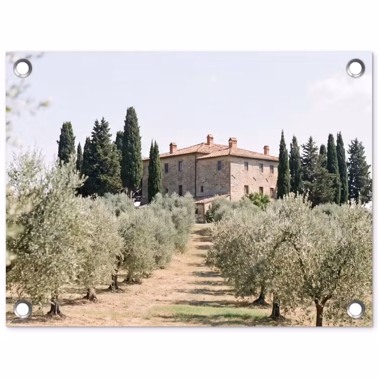 Garden Poster - Country house - olive tree - orchard - Landhuis - olijfboom - gaard tuinposter los doek klein
