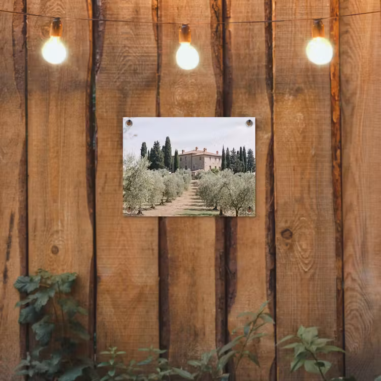 Garden Poster - Country house - olive tree - orchard - Landhuis - olijfboom - gaard tuinposter los doek klein