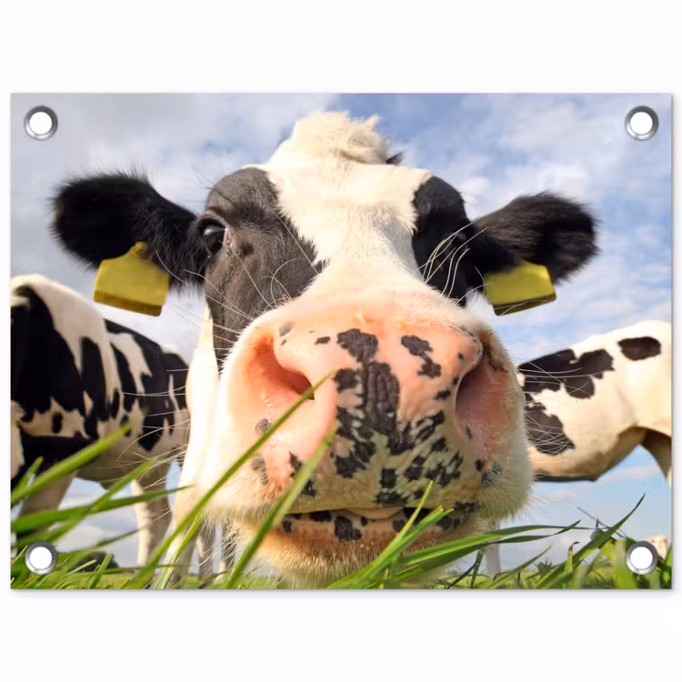 Koe - Boerderij - Gras - Dieren tuinposter los doek klein -3d
