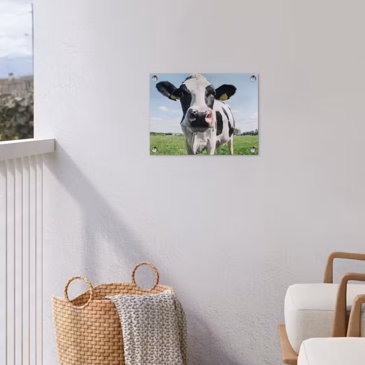 Koe - Weiland - Natuur - Dieren - Gras tuinposter los doek klein -sfeer8