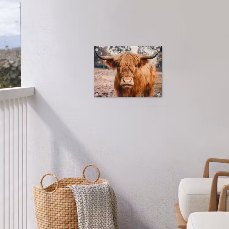 Koe- Schotse hooglander - Hoorns - Bruin - Landschap tuinposter los doek klein -sfeer8
