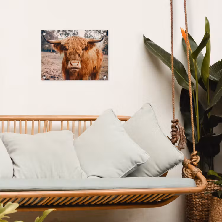 Koe- Schotse hooglander - Hoorns - Bruin - Landschap tuinposter los doek klein -sfeer7