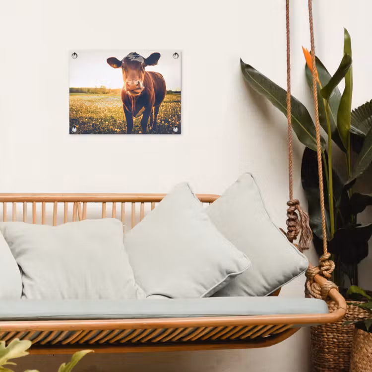 Koe - Zonsondergang - Bloemen - Gras - Dieren tuinposter los doek klein -sfeer7