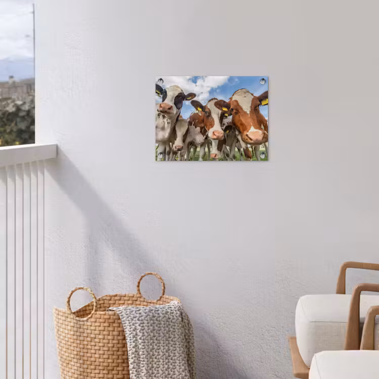 Koeien - Dieren - Weiland - Natuur tuinposter los doek klein -sfeer8