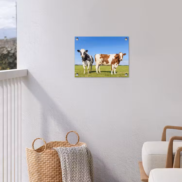 Koeien - Boerderij - Gras- Natuur - Dieren tuinposter los doek klein -sfeer8
