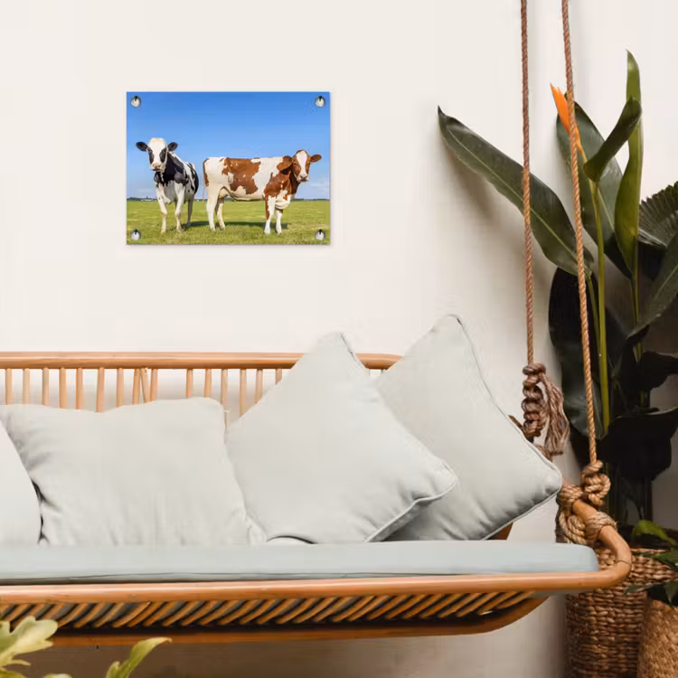 Koeien - Boerderij - Gras- Natuur - Dieren tuinposter los doek klein -sfeer7