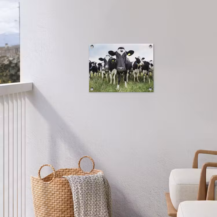 Koeien - Gras - Lente - Dieren - Weiland - Boerderij tuinposter los doek klein -sfeer8