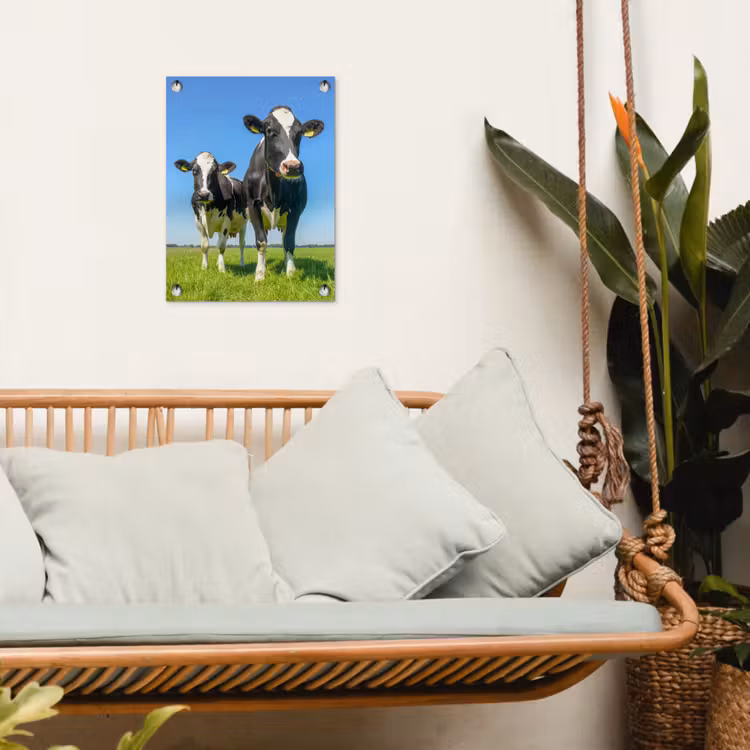 Koeien op een zonnige dag in de wei tuinposter los doek klein -sfeer7