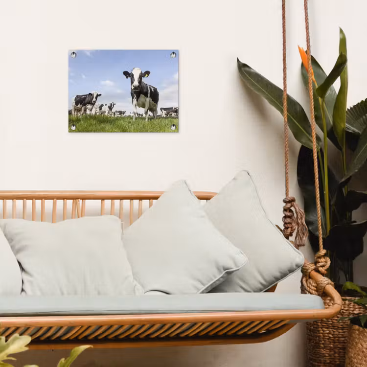 Koeien in de weide onder een heldere lucht tuinposter los doek klein -sfeer7