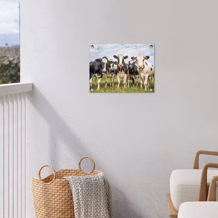Koeien - Weiland - Dieren - Natuur - Gras tuinposter los doek klein -sfeer8