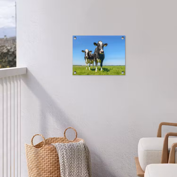 Koeien - Weiland - Gras - Dieren - Boerderij tuinposter los doek klein -sfeer8