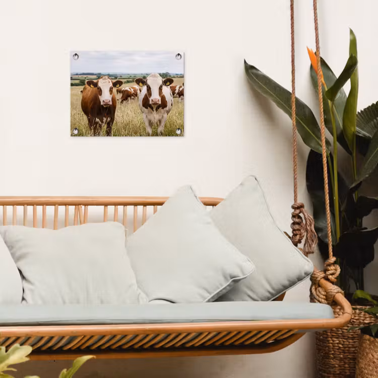 Koeien - Portret - Weide - Boerderij - Nieuwsgierig tuinposter los doek klein -sfeer7