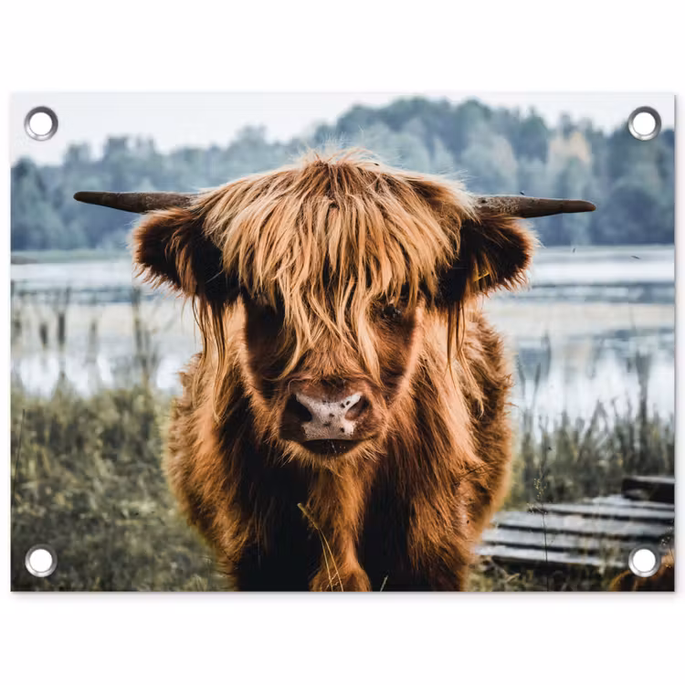 Koeien - Schotse hooglander - Bruin - Natuur tuinposter los doek klein -3d