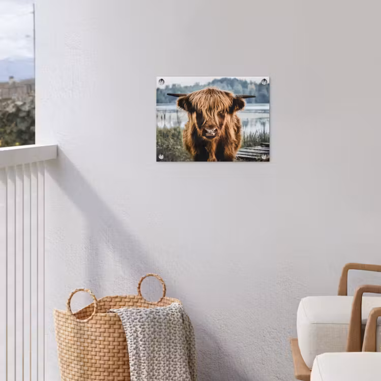 Koeien - Schotse hooglander - Bruin - Natuur tuinposter los doek klein -sfeer8