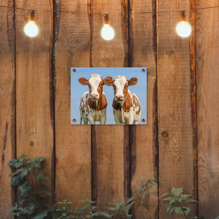 Koeien - Lucht - Dieren - Boerderij - Portret tuinposter los doek klein -sfeer1