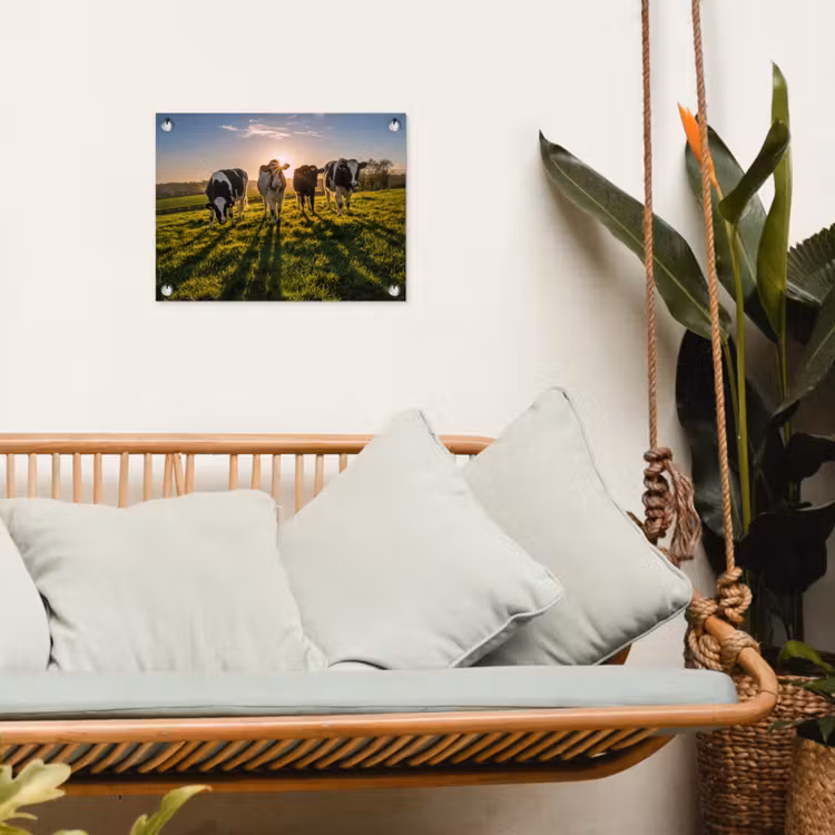 Koeien - Zon - Gras - Dieren - Boerderij tuinposter los doek klein -sfeer7