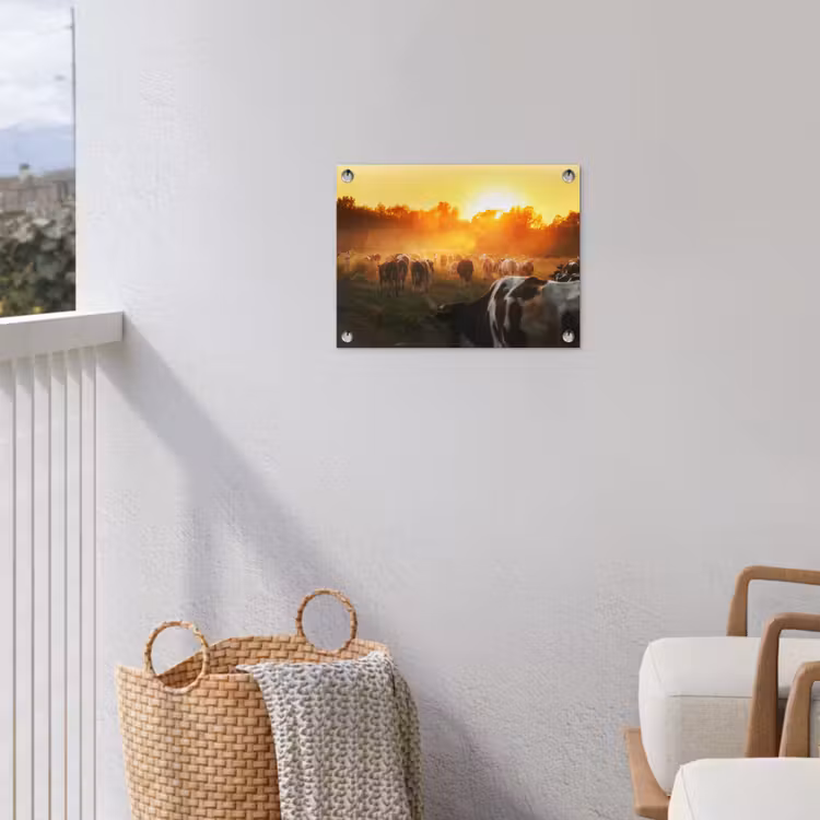 Koeien - Zonsondergang - Weiland - Dieren tuinposter los doek klein -sfeer8