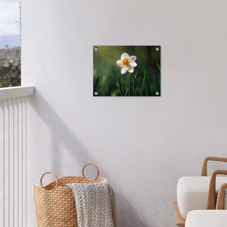 Narcis - Bloem - Wit - Grassprieten tuinposter los doek klein -sfeer8
