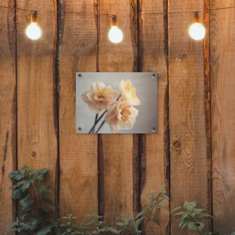 Narcissen - Geel - Bloemblaadjes tuinposter los doek klein -sfeer1
