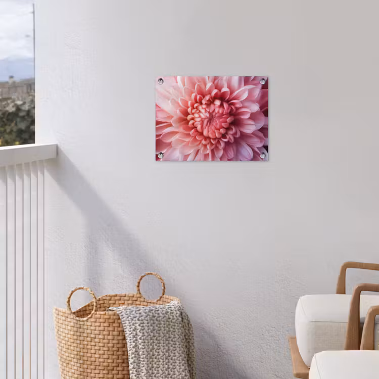 Dahlia - Bloem - Close up - Roze tuinposter los doek klein -sfeer8