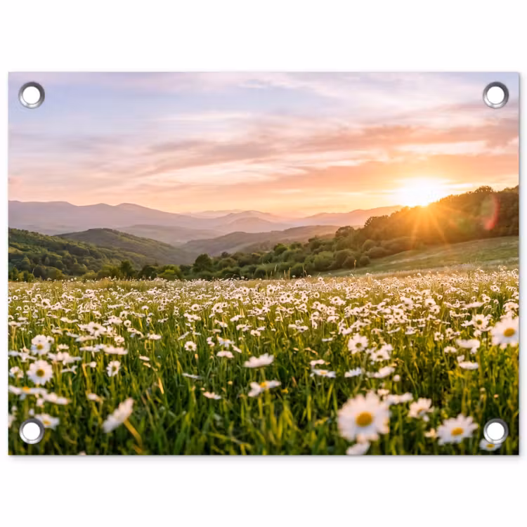 Madelief - Veld - Heuvels - Groen tuinposter los doek klein -3d