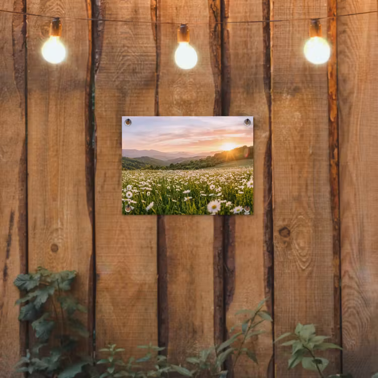 Madelief - Veld - Heuvels - Groen tuinposter los doek klein -sfeer1