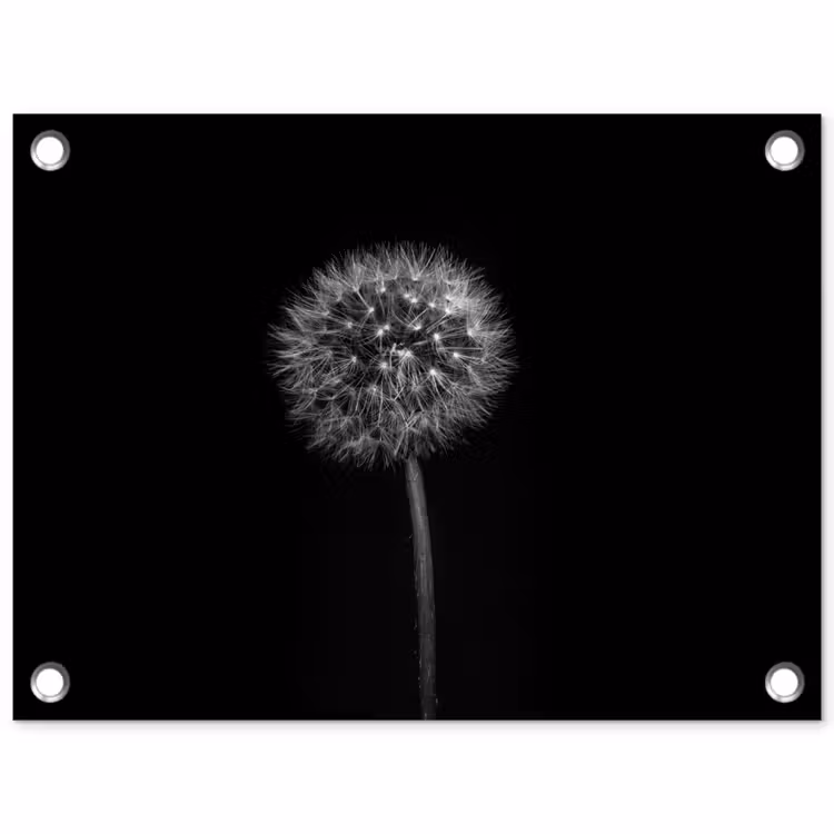 Paardenbloem - Zwart - Bloemen - Botanisch tuinposter los doek klein -3d