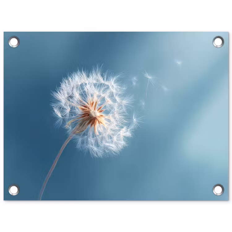 Paardenbloem - Wind - Blauw tuinposter los doek klein -3d