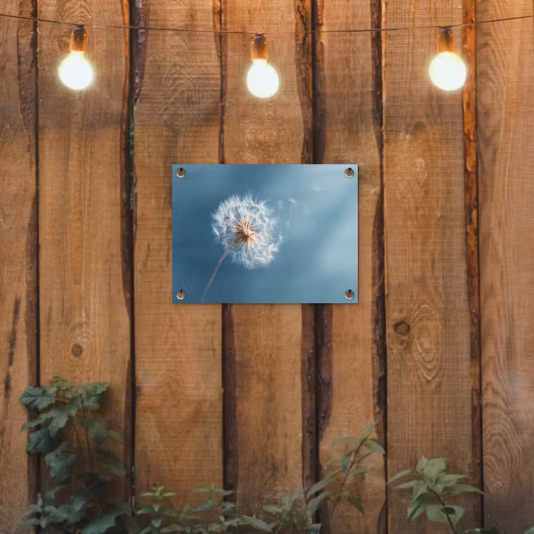 Paardenbloem - Wind - Blauw tuinposter los doek klein -sfeer1