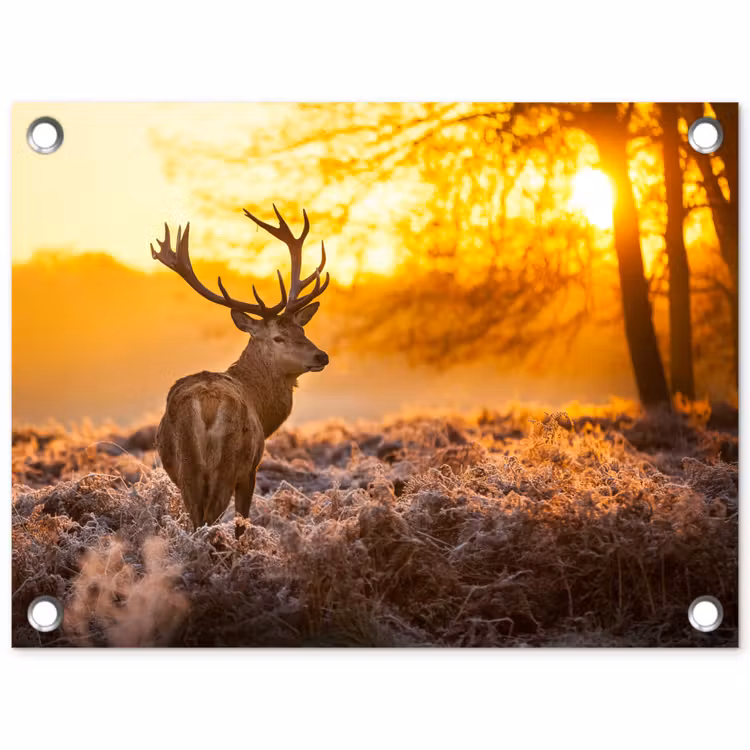 Hert - Dieren - Zonsondergang - Winter - Heide - Natuur tuinposter los doek klein -3d