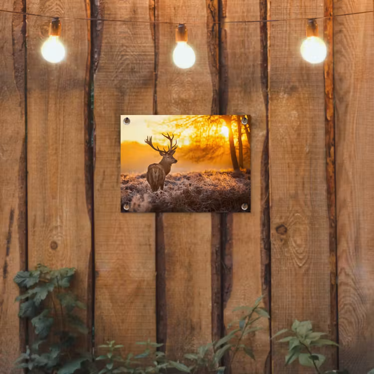 Hert - Dieren - Zonsondergang - Winter - Heide - Natuur tuinposter los doek klein -sfeer1