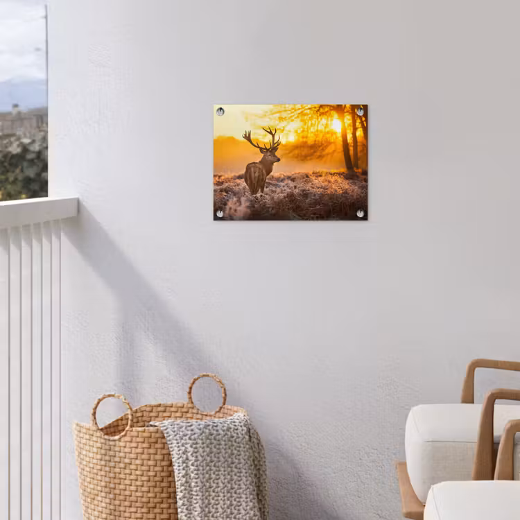 Hert - Dieren - Zonsondergang - Winter - Heide - Natuur tuinposter los doek klein -sfeer8