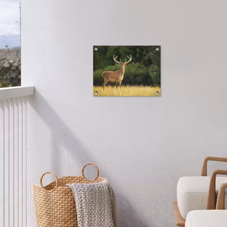 Hert - Gewei - Gras - Natuur - Dieren - Groen tuinposter los doek klein -sfeer8