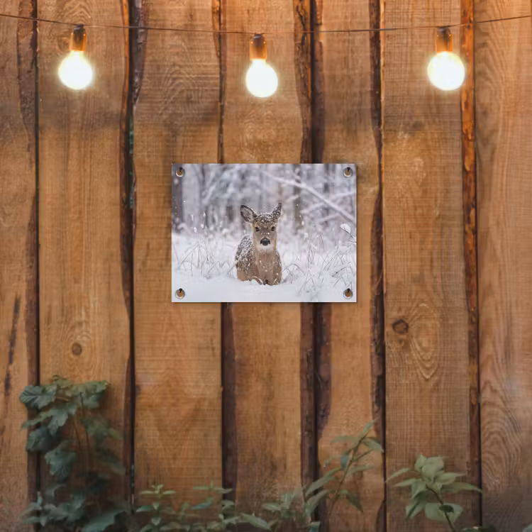 Hert - Sneeuw - Bos - Dieren - Vertederend tuinposter los doek klein -sfeer1