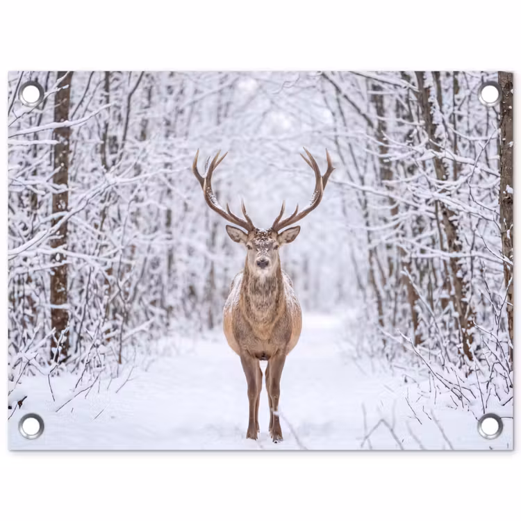 Hert - Winter - Bos - Natuur - Wit tuinposter los doek klein -3d