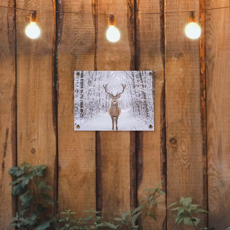 Hert - Winter - Bos - Natuur - Wit tuinposter los doek klein -sfeer1