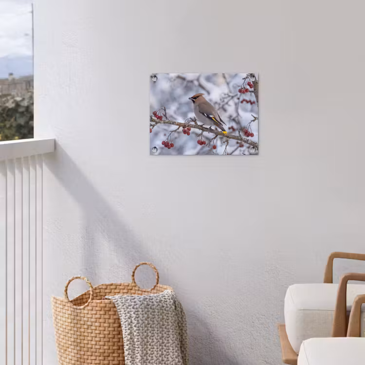 Pestvogel - Bessen - Winter - Natuur tuinposter los doek klein -sfeer8