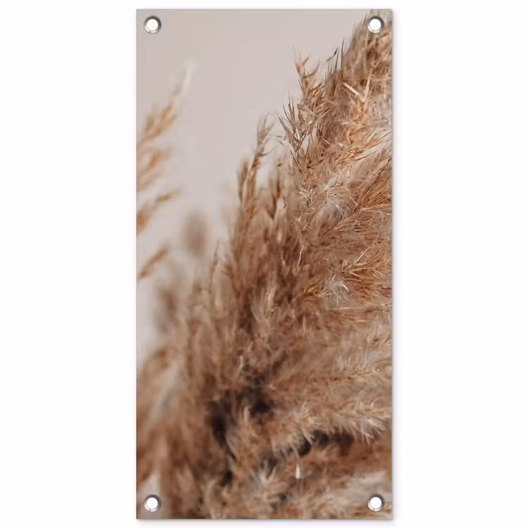 Gedroogd pampasgras dichtbij tuinposter los doek klein -3d