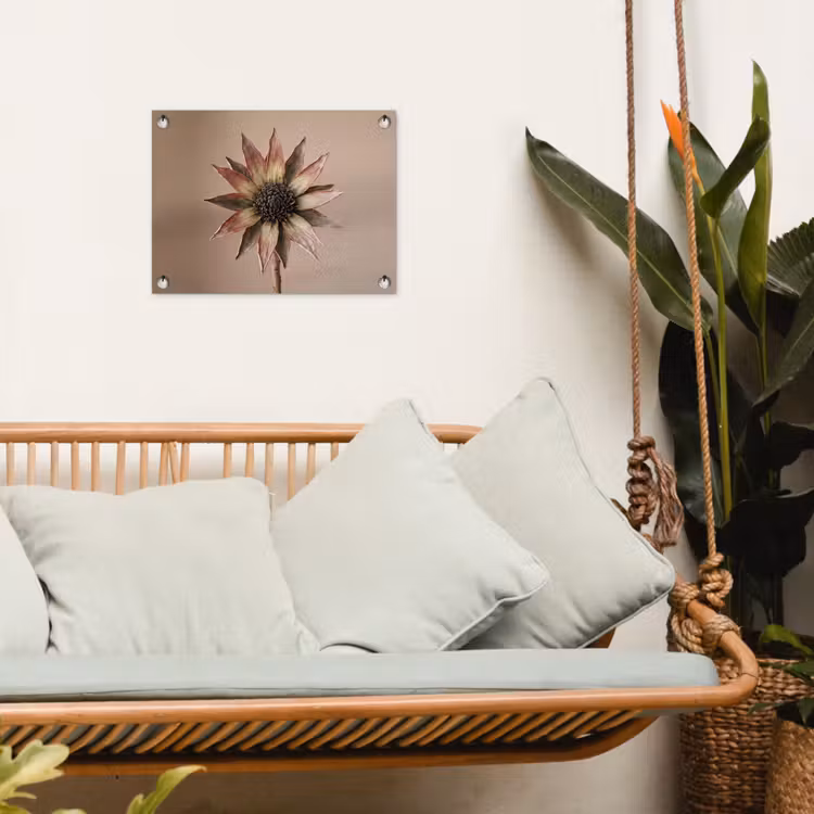 Droogbloem - Protea - Vintage - Beige - Rustiek tuinposter los doek klein -sfeer7