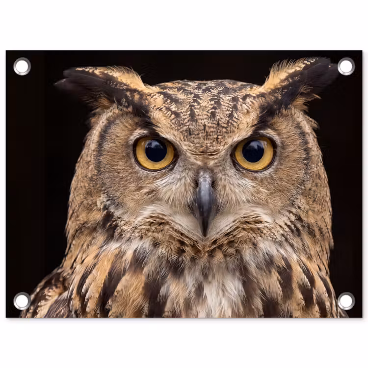 Oehoe - Uil - Portret - Bruin tuinposter los doek klein -3d