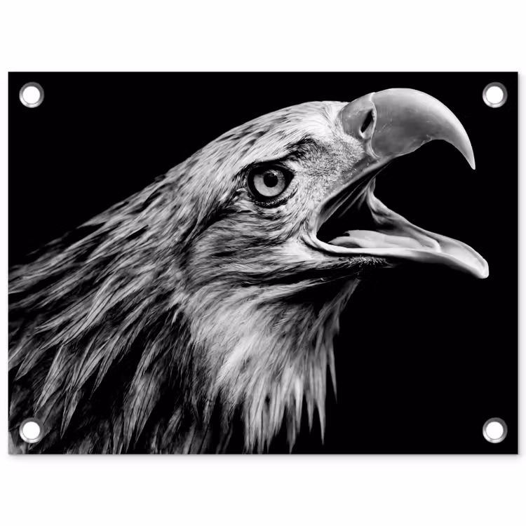 Adelaar - Portret - Roofvogels - Zwart - Wit - Vogel tuinposter los doek klein -3d