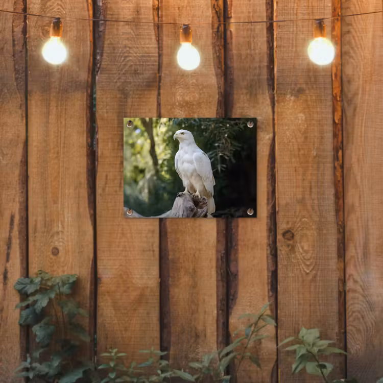 Arend - Hout - Wit - Planten tuinposter los doek klein -sfeer1