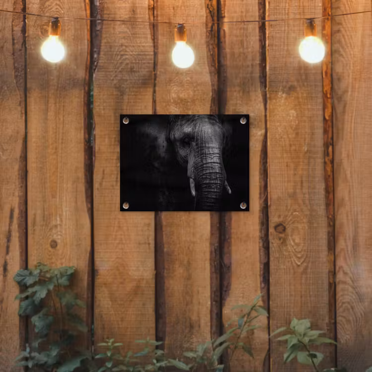 Olifant - Dier - Portret tuinposter los doek klein -sfeer1